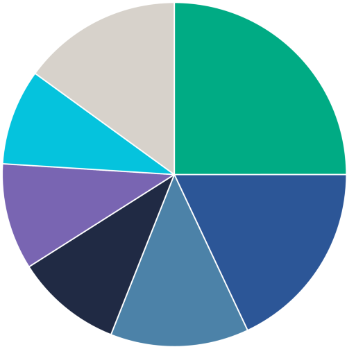 income protection claim types pie chart