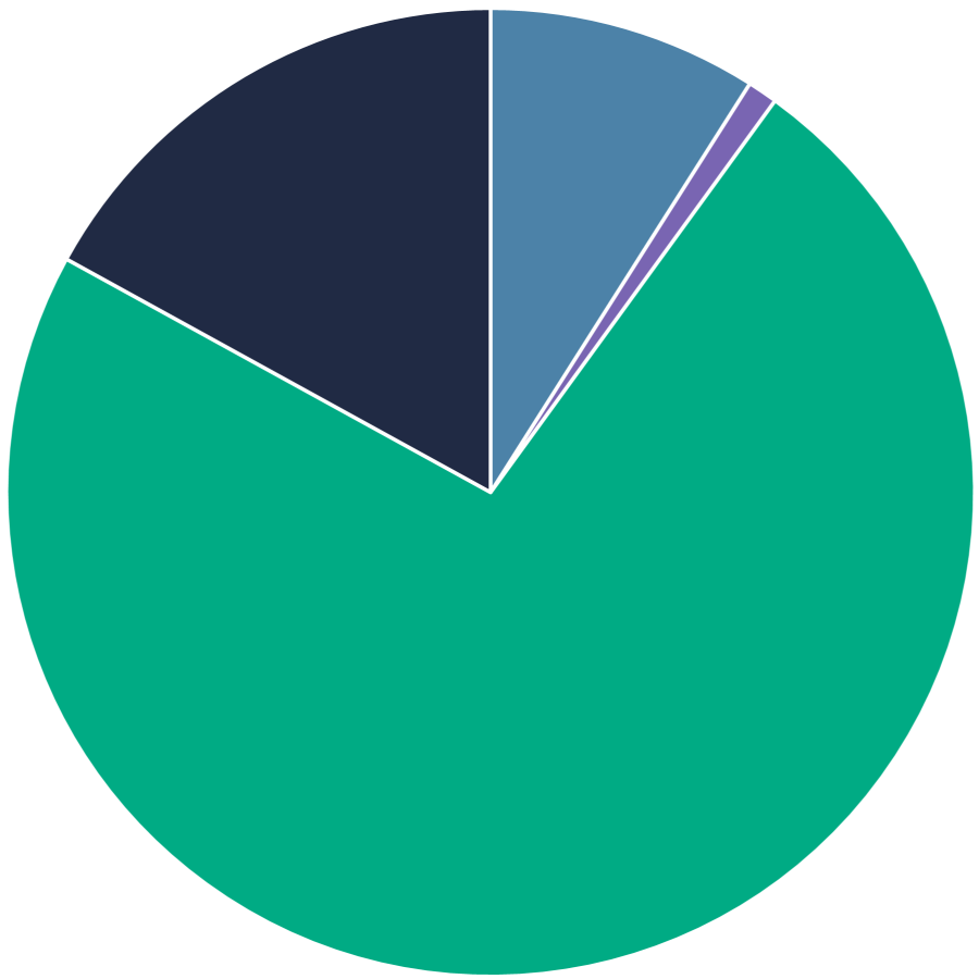 Overall NZ pie chart