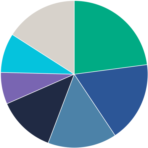 income protection claims breakdown pie chart