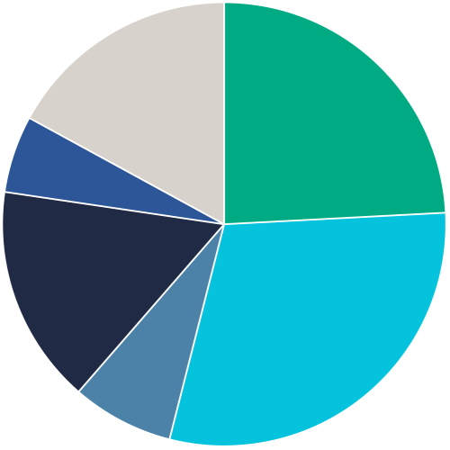 life insurance claims breakdown pie chart