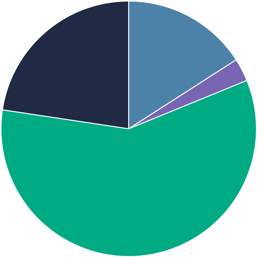 Overall NZ pie chart